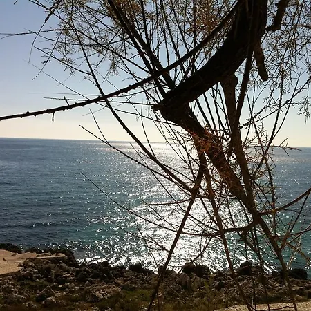 Ale.bo. *
